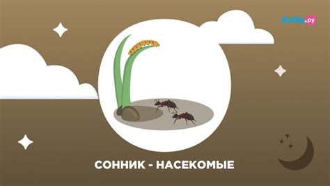 Символика снов о насекомых