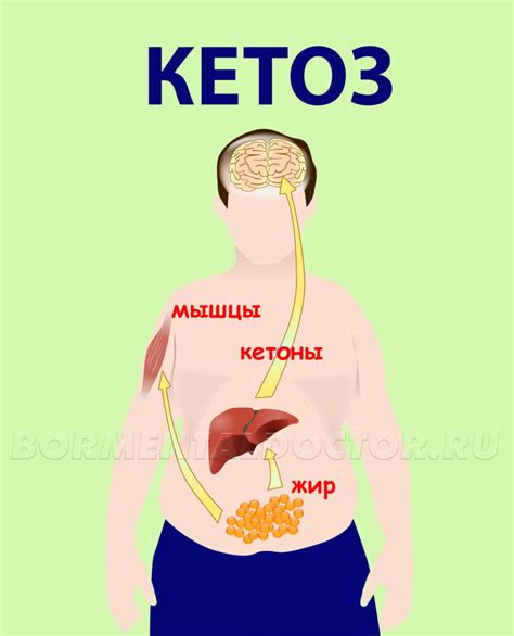 Симптомы и признаки кетоза