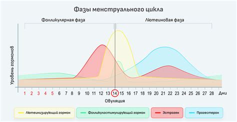 Симптомы и признаки необычно повышенной температуре в одной из стадий менструального цикла