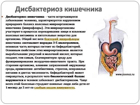 Симптомы нарушения работы органов пищеварения