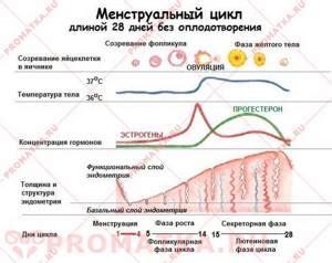 Симптомы нарушения трансформации эндометрия