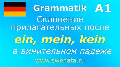 Склонение фамилии Дейнека в винительном падеже