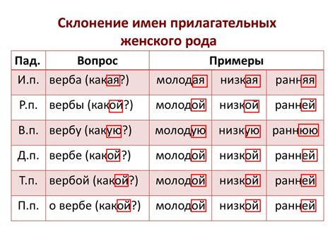 Склонение фамилии Падалка  в женском роде: основные принципы и примеры изменения