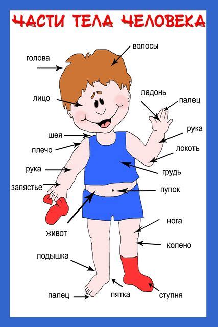 Советы по использованию удаления части тела