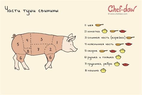 Советы по тушению свинины