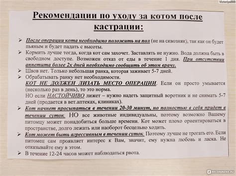 Советы по уходу после кастрации