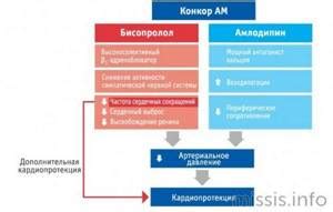 Совместимость телезапа и конкора: почему стоит обратить внимание