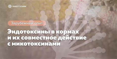 Совместное действие продуктов