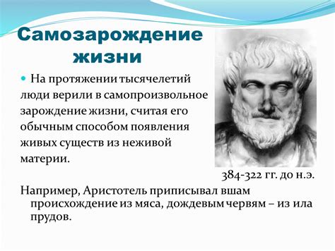 Современные представления