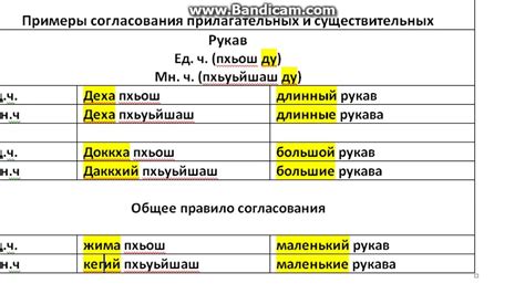 Согласование и применение прилагательных с числительными: особенности и примеры использования