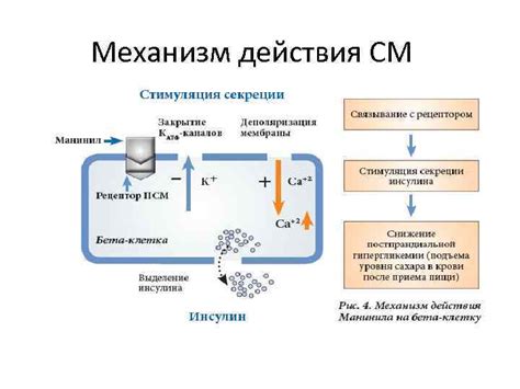 Содержание нутриентов в хурме