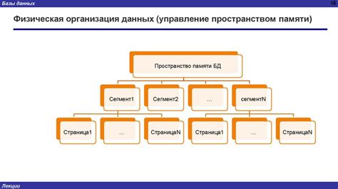 Создание базы данных в командной строке системы управления реляционными базами данных