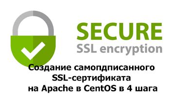 Создание и интеграция SSL-сертификата для безопасной работы