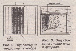 Создание уголков с местами для пчелиных гнезд