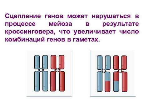 Создание уникальных комбинаций генов