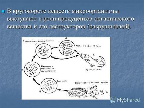 Солнце и его роль в водном круговороте