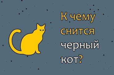 Сон о коте: основные символы