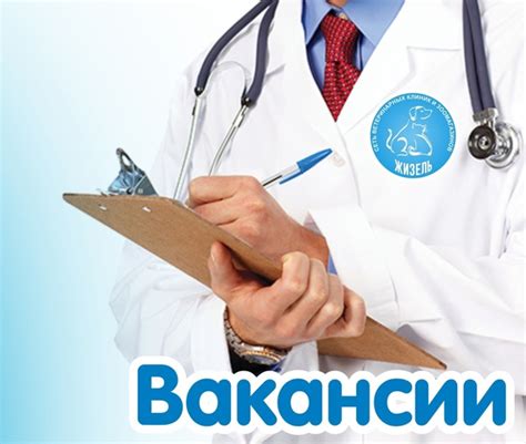 Сообщите о находке в ветеринарную клинику