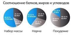 Соотношение белков, жиров и углеводов