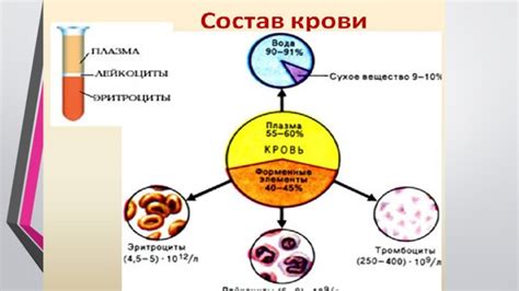 Соотношение сухой и жидкой части