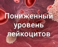 Соотношение цитрат в крови: причины, диагностика и лечение