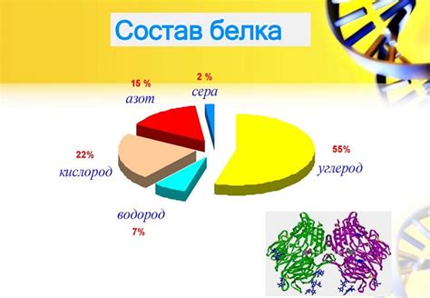 Состав белка: основные элементы