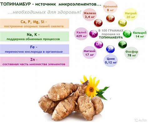 Состав и действие сиропа топинамбура на организм