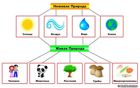 Состав неживой природы