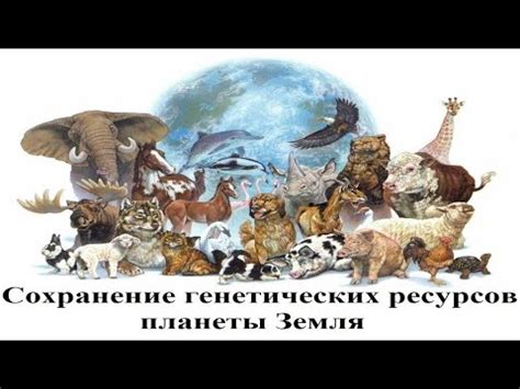 Сохранение ресурсов планеты