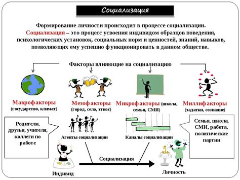 Социализация и выход в общество