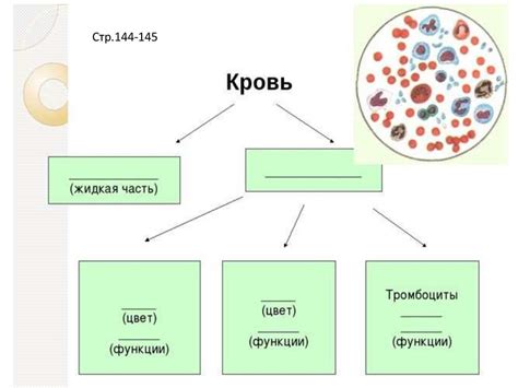 Социальная интеракция у различных видов животных