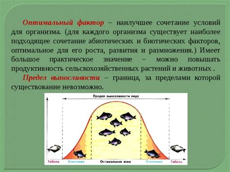 Сочетание Лактазара и пробиотиков: оптимальное сочетание для организма