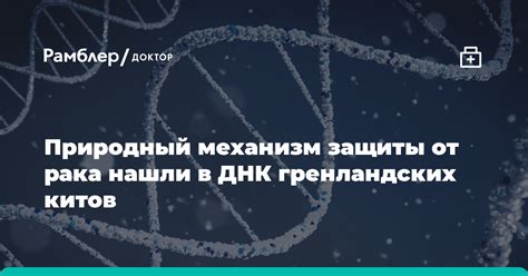 Спинки на иглах – природный механизм защиты