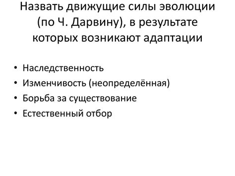 Спинки на иголках как результат биологической адаптации