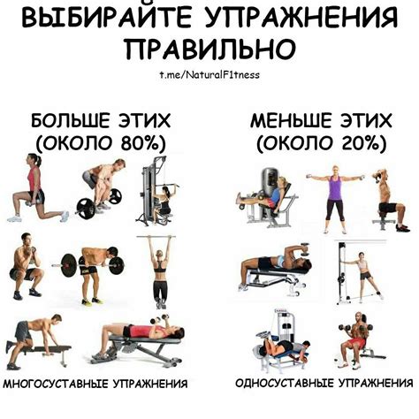 Спорт как метод укрепления