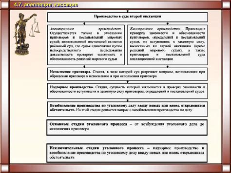 Способы апелляции и кассации в суде для защиты наследства