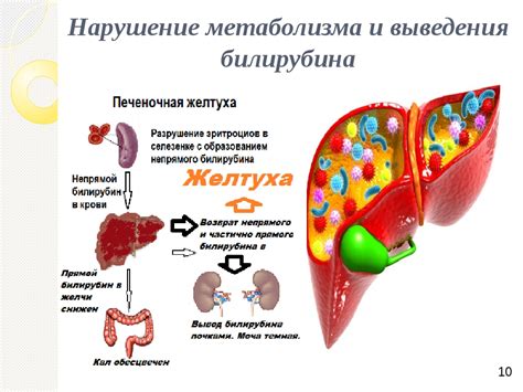 Способы лечения нарушения метаболизма