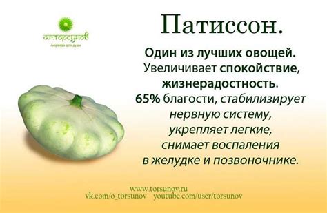 Способы подготовки патиссонов для сохранения их естественного вкуса в маринаде