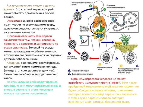 Способы предотвращения заражения червями