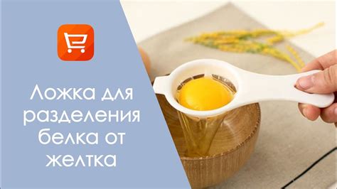 Способы разделения желтка и белка