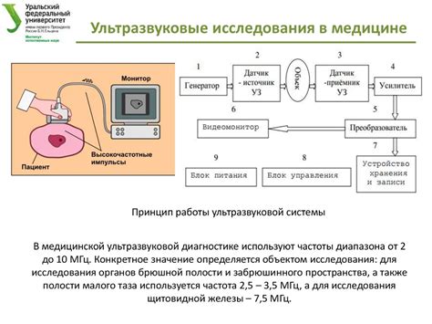 Способ №4: Применение ультразвука