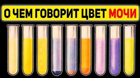 Сравнение воздействия других продуктов на цвет мочи