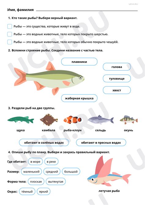 Сравнение мяса рыбы и животных