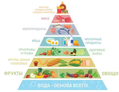 Сравнение холодца с другими продуктами в рамках здорового питания