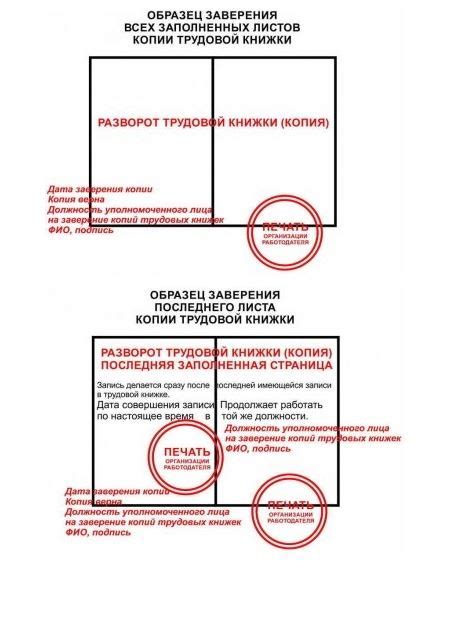 Сроки действия заверенной копии