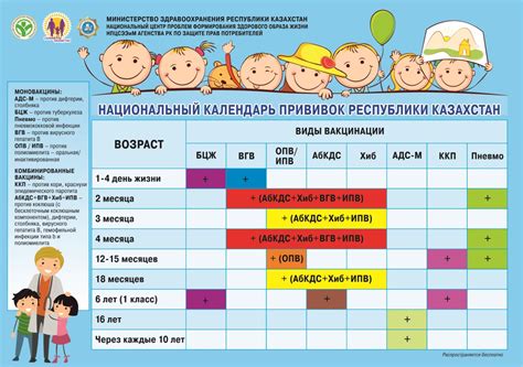 Сроки и периодичность прививки