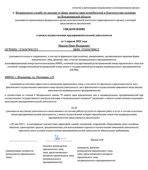 Сроки осуществления аудита ИП в начале своей предпринимательской деятельности