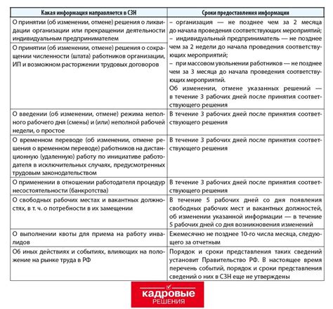 Сроки представления отчетности: важные моменты