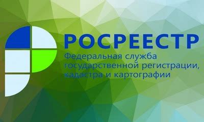 Сроки процедуры разделения земли