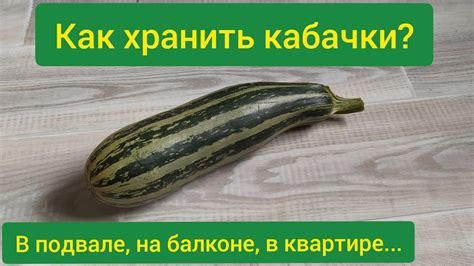 Срок хранения кабачков в холодильнике: рекомендации для сохранения свежести